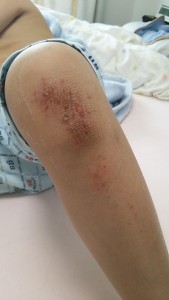 11267269_717553365033291_2099904800_n